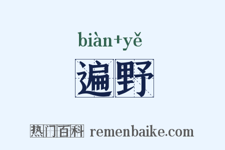遍野是什么意思的图片